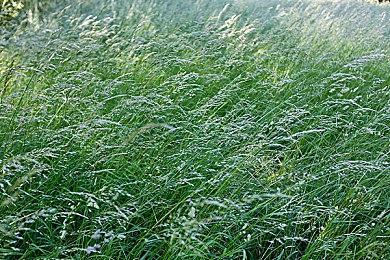 《FIFA 22》将让生涯模式创造俱乐部回归